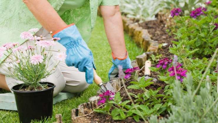 5 trucchi per arredare giardino