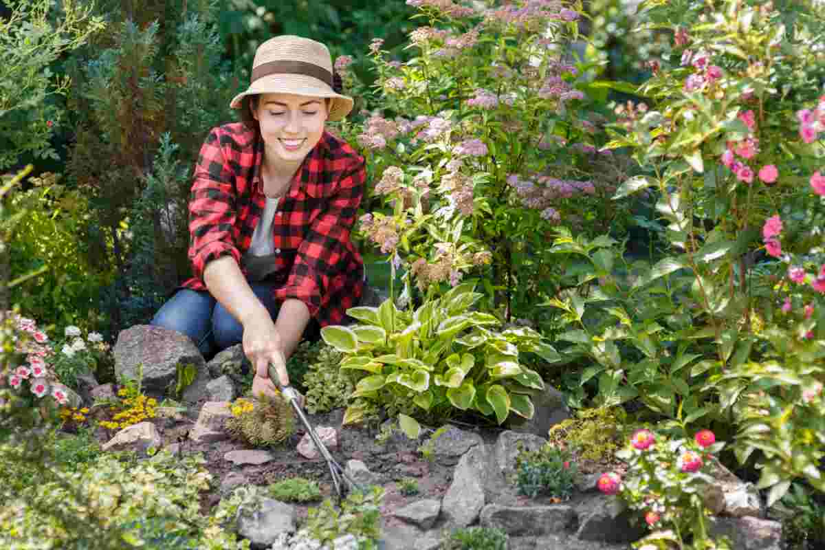 Erbe infestanti in giardino come eliminarle con rimedi naturali 