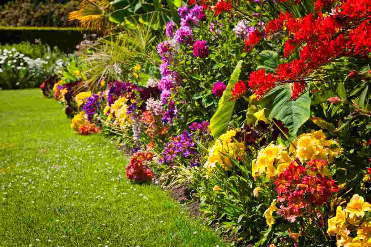 10 piate decorative per il tuo giardino 