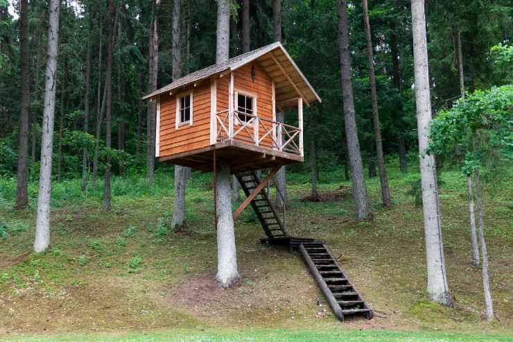 Quando rischi una multa: come fare una casa sull'albero 
