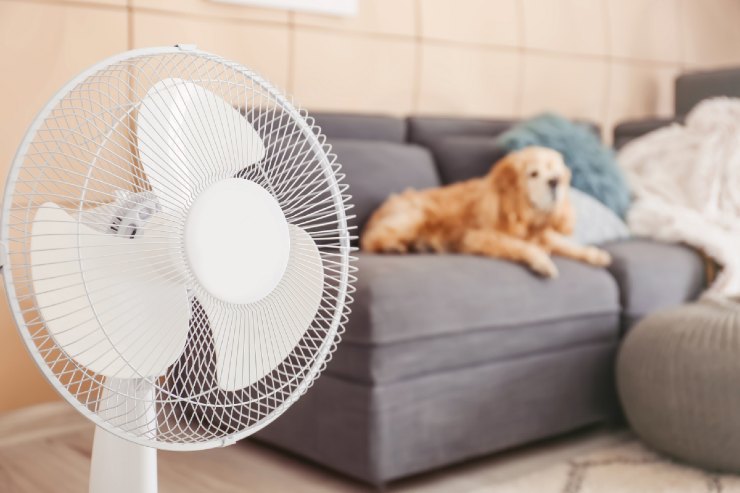 Raffredderai tutto lo spazio mettendo il ventilatore nel posto giusto